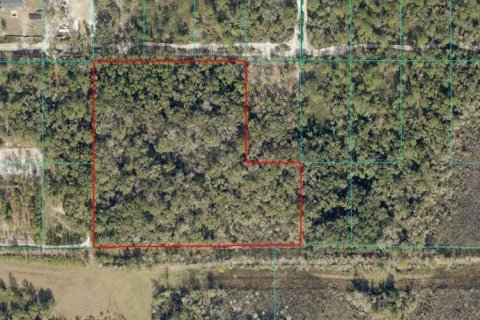Terrain à Dunnellon, Floride № 2098650