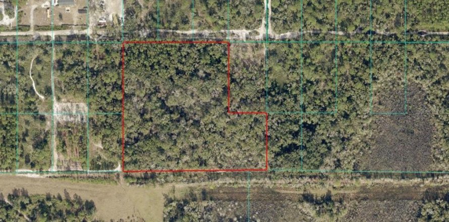 Terrain à Dunnellon, Floride № 2098650