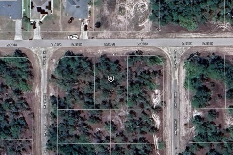 Land in Lehigh Acres, Florida № 2160975