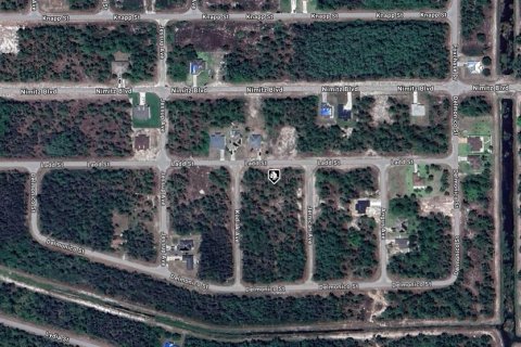 Land in Lehigh Acres, Florida № 2160975 - photo 2