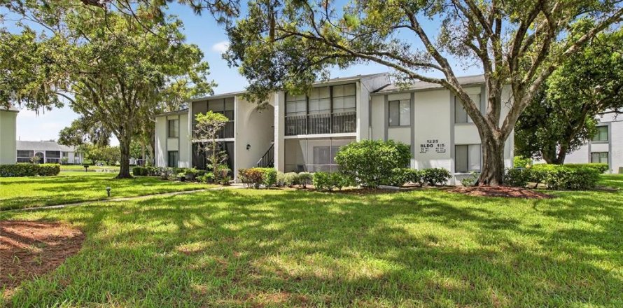 Condo à Tarpon Springs, Floride, 2 chambres № 1911480