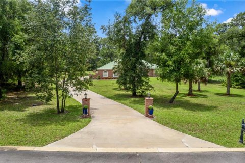 Villa ou maison à vendre à DeLand, Floride: 4 chambres, 288.28 m2 № 1805304 - photo 3
