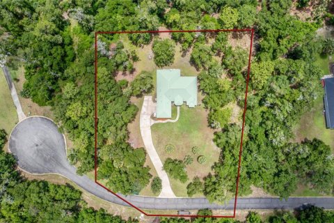 Villa ou maison à vendre à DeLand, Floride: 4 chambres, 288.28 m2 № 1805304 - photo 2