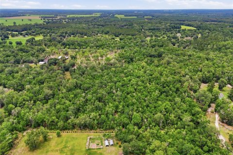 Land in Fort White, Florida № 2102700 - photo 8