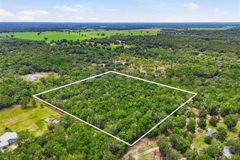 Land in Fort White, Florida № 2102700 - photo 3