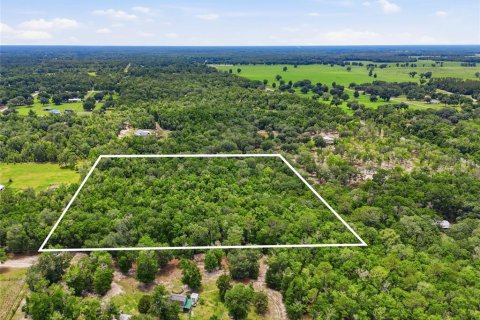 Land in Fort White, Florida № 2102700 - photo 4