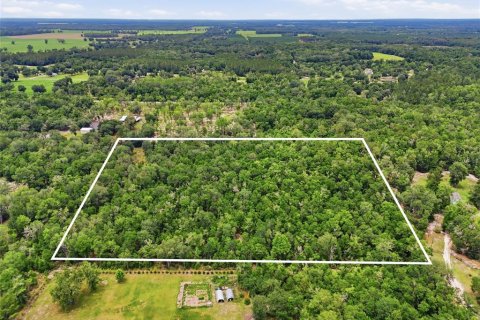 Land in Fort White, Florida № 2102700 - photo 2