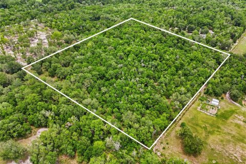 Land in Fort White, Florida № 2102700