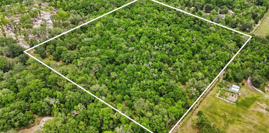 Land in Fort White, Florida № 2102700