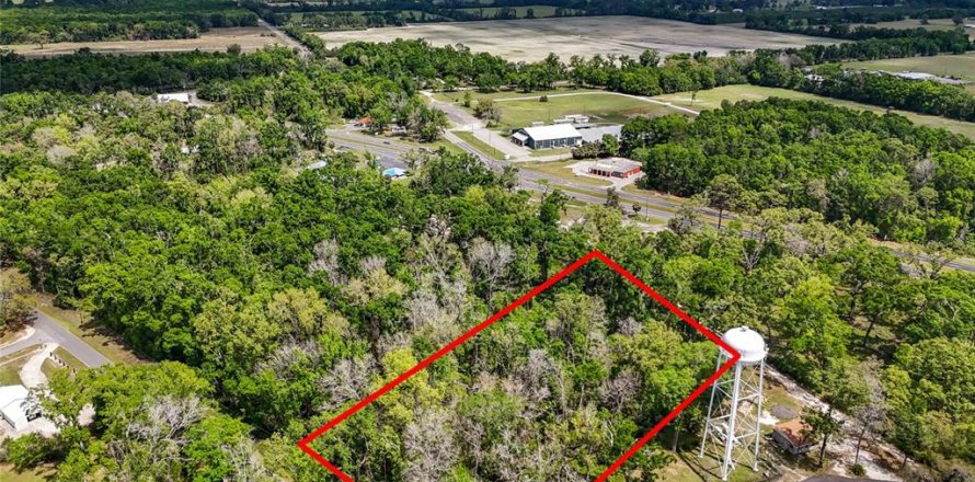Terreno en Fanning Springs, Florida № 1636499