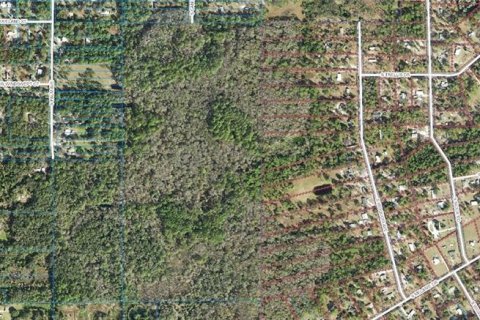Land in Homosassa, Florida № 213745 - photo 2
