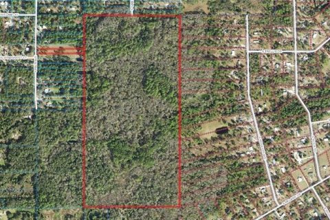 Land in Homosassa, Florida № 213745 - photo 1