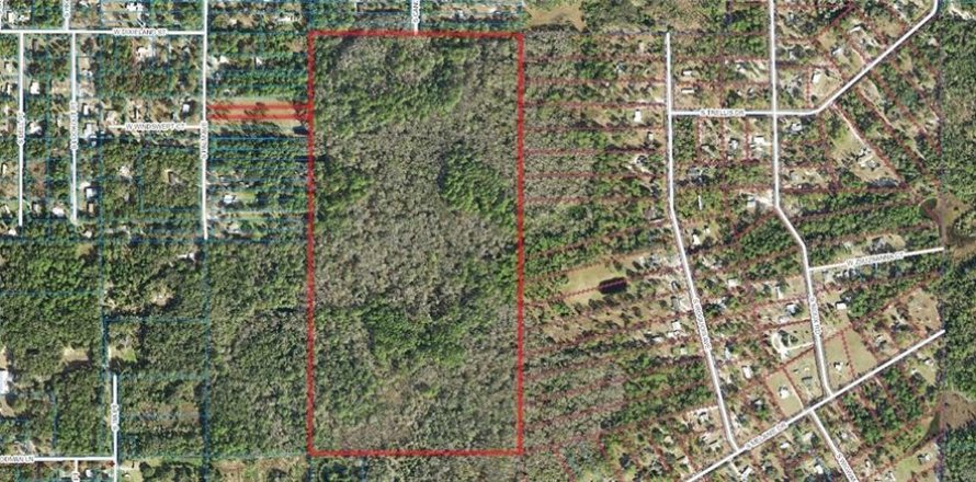 Land in Homosassa, Florida № 213745
