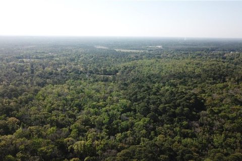 Land in Homosassa, Florida № 213745 - photo 12