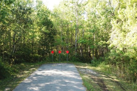 Land in Homosassa, Florida № 213745 - photo 7