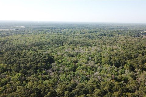 Land in Homosassa, Florida № 213745 - photo 9