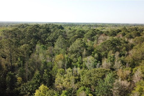 Land in Homosassa, Florida № 213745 - photo 13