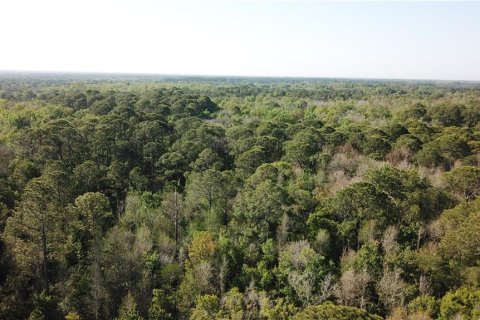 Land in Homosassa, Florida № 213745 - photo 11
