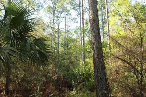 Land in Homosassa, Florida № 213745 - photo 5