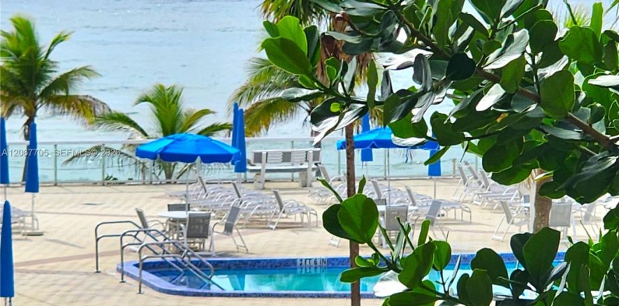 Condo à Hallandale Beach, Floride, 1 chambre  № 2290093