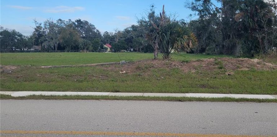 Terreno en Zellwood, Florida № 1444206