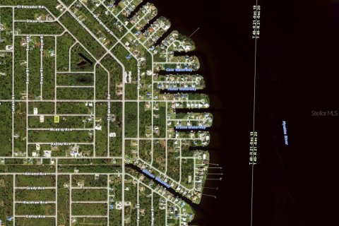 Land in Port Charlotte, Florida № 2160626 - photo 3