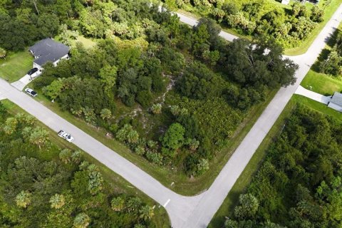 Terreno en venta en Port Charlotte, Florida № 1789488 - foto 12