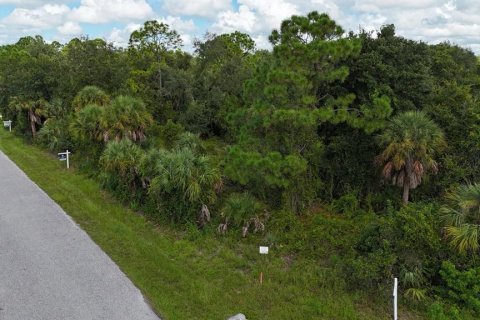 Terreno en venta en Port Charlotte, Florida № 1789488 - foto 8