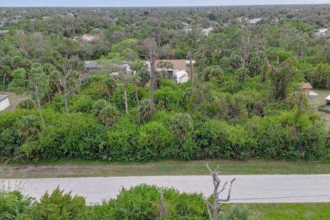 Land in Port Charlotte, Florida № 2160135 - photo 4