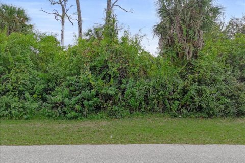 Land in Port Charlotte, Florida № 2160135 - photo 2