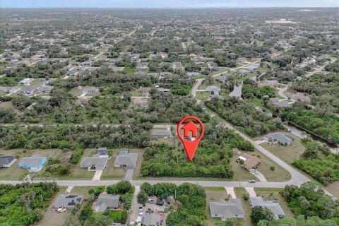 Land in Port Charlotte, Florida № 2160135 - photo 6