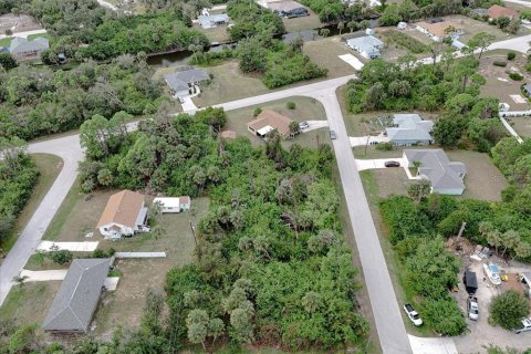Land in Port Charlotte, Florida № 2160135 - photo 8