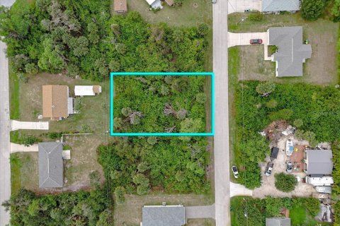 Land in Port Charlotte, Florida № 2160135 - photo 17