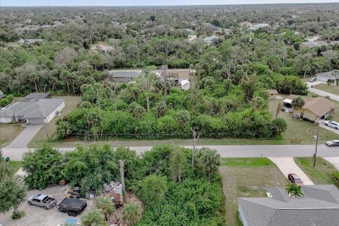 Land in Port Charlotte, Florida № 2160135 - photo 5