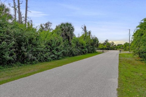 Land in Port Charlotte, Florida № 2160135 - photo 3