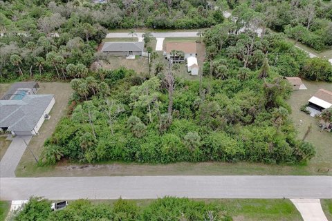 Land in Port Charlotte, Florida № 2160135 - photo 14