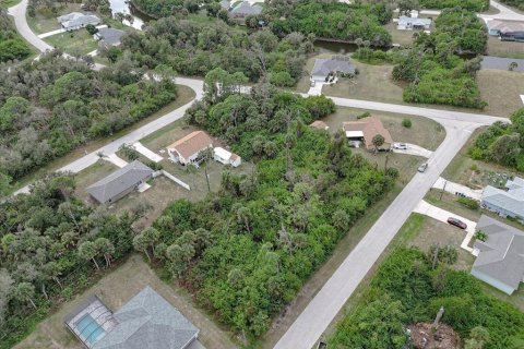 Land in Port Charlotte, Florida № 2160135 - photo 7