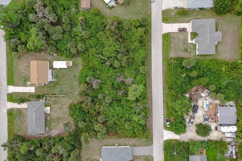 Land in Port Charlotte, Florida № 2160135 - photo 18