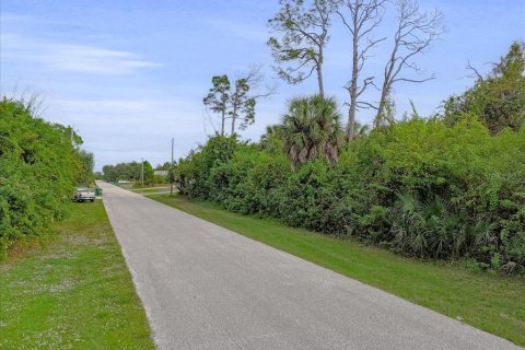 Land in Port Charlotte, Florida № 2160135
