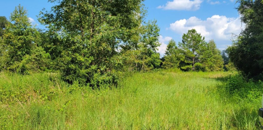 Land in Reddick, Florida № 771107