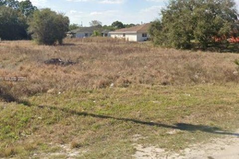 Land in Lehigh Acres, Florida № 2039201 - photo 1