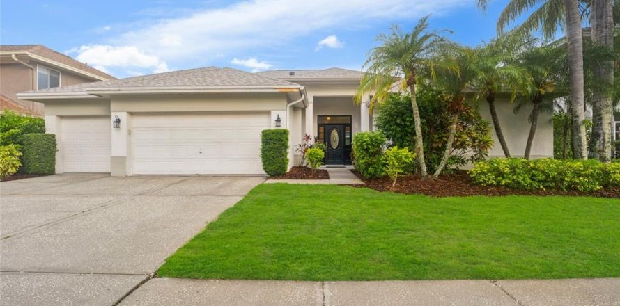 House in Tampa, Florida 4 bedrooms, 236.06 sq.m. № 1767024