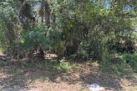 Land in Port Charlotte, Florida № 2159037