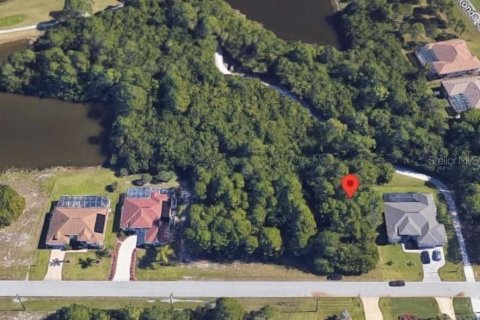 Terreno en venta en Rotonda, Florida № 2164084 - foto 6