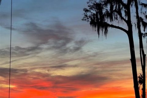 Land in Odessa, Florida № 2096099 - photo 8