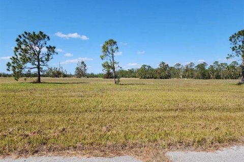 Land in Placida, Florida № 2165658
