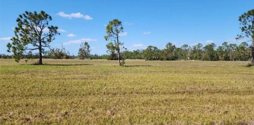 Land in Placida, Florida № 2165658