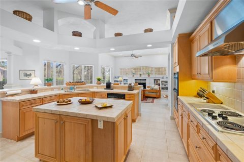 Villa ou maison à vendre à Palm Coast, Floride: 3 chambres, 324.23 m2 № 1718421 - photo 4