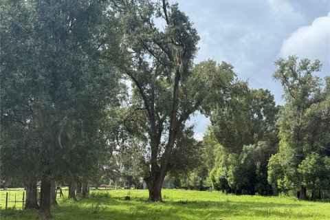 Land in Lakeland, Florida № 2396362 - photo 2