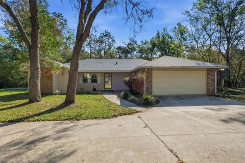 Villa ou maison à Floral City, Floride 4 chambres, 186.45 m2 № 2127654